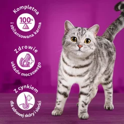 Mokra karma dla kotów Whiskas, saszetki, drób, 40 x 85 g