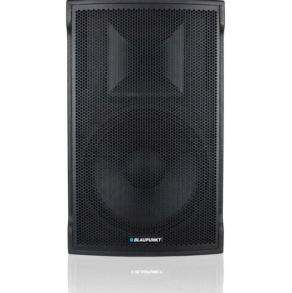 Profesjonalny system audio Blaupunkt PA1500PRO, z Bluetooth