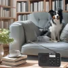 Radio kuchenne Blow RK4, FM/DAB+, Bluetooth
