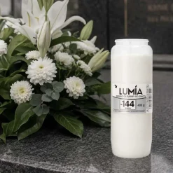 Wkład olejowy do zniczy Lumia, 144 godziny, 400 g, 11 sztuk